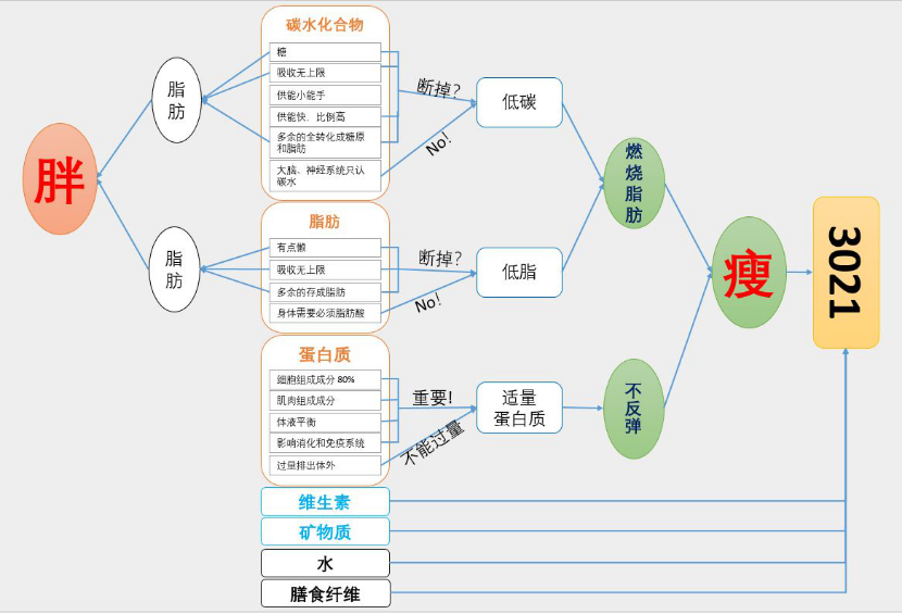 安馨3021减脂原理图