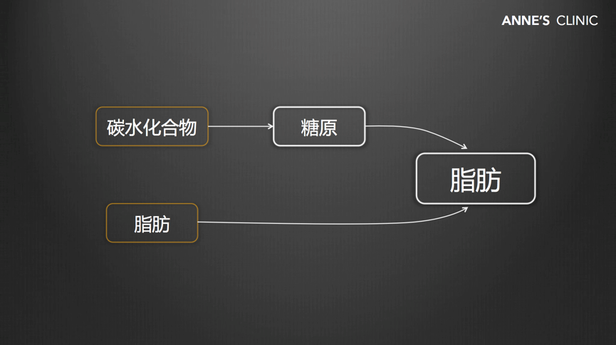 脂肪的形成