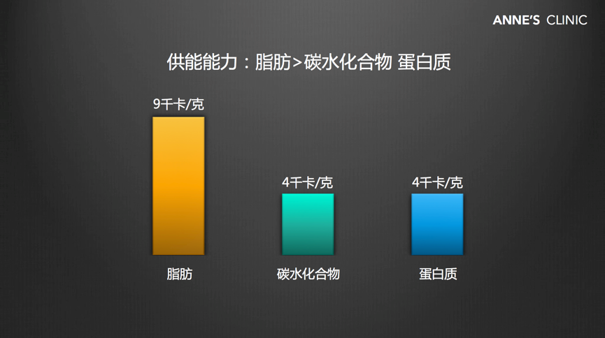 脂肪、碳水化合物、蛋白质热量对比